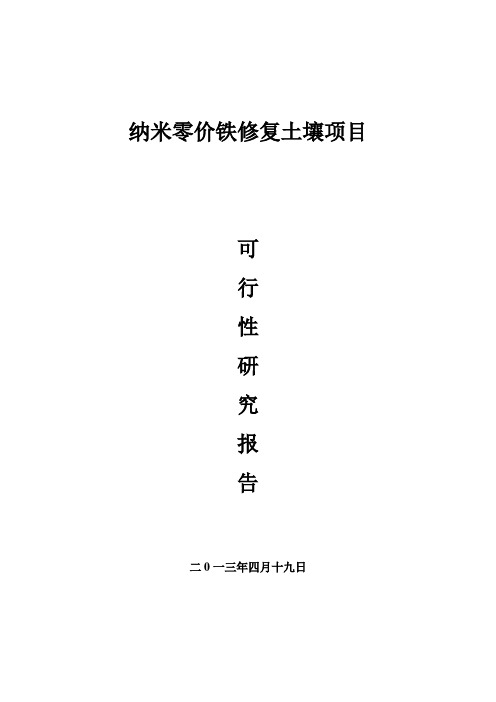 纳米零价铁可研