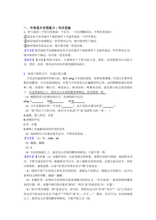 人教版中考语文句式变换解题方法和技巧及习题训练含答案