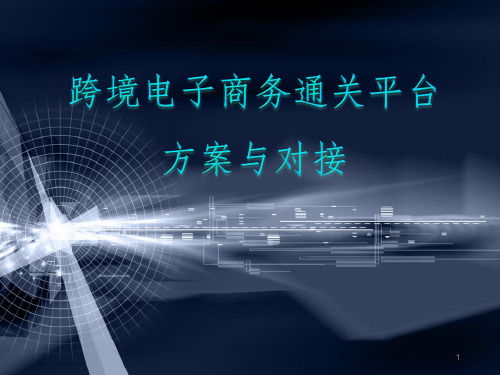 跨境电子商务通关平台方案与对接ppt课件