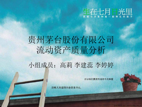 贵州茅台XXXX报表质量分析