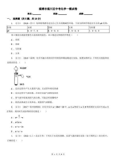 淄博市淄川区中考化学一模试卷