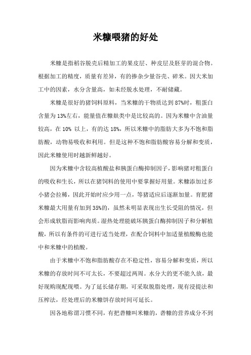 米糠喂猪好处