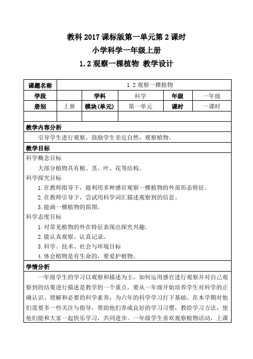教科2017课标版科学一年级上册《植物 2 观察一棵植物》优质课教学设计_11