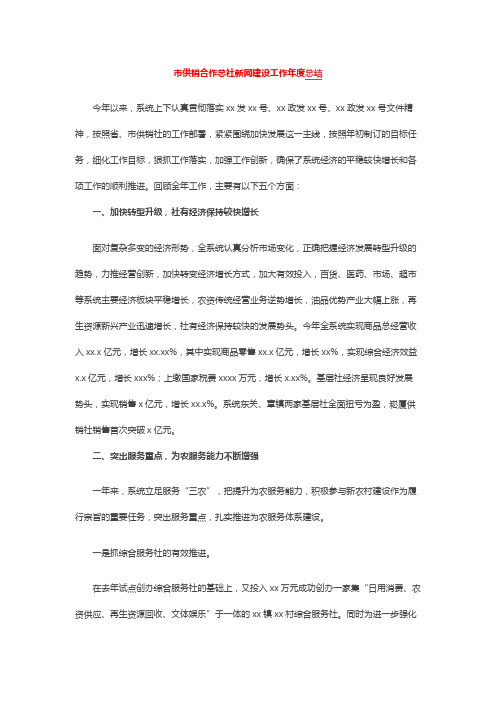 市供销合作总社新网建设工作年度总结