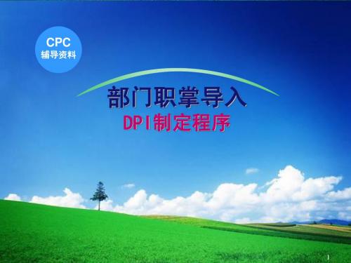 1-康师傅部门职掌DPI制定