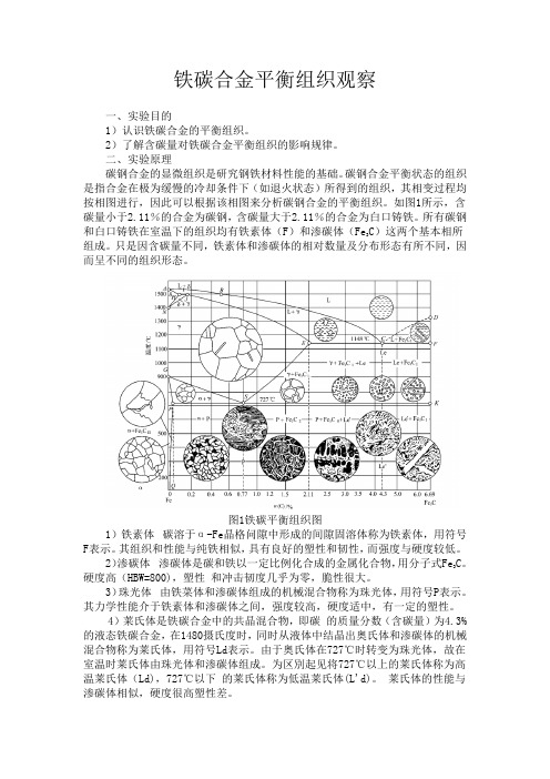 铁碳平衡组织观察