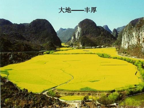 最新苏教版语文必修二课件：第一专题：珍爱生命《我与地坛》(46张ppt)课件(共46张PPT)