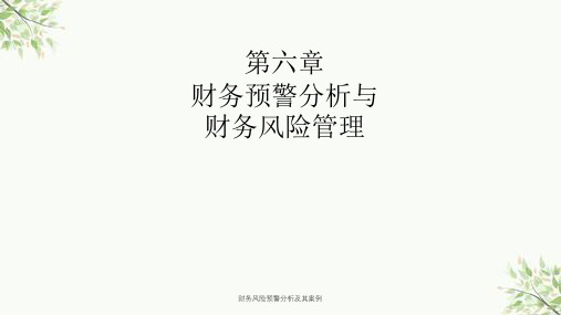 财务风险预警分析及其案例课件