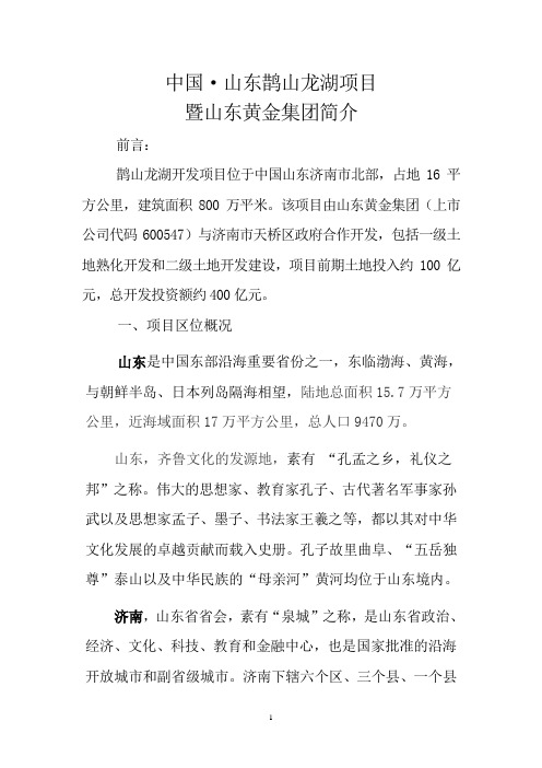 龙湖简介(外发)