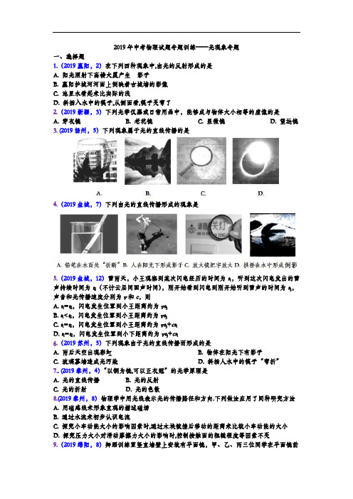 2019年中考物理试题专题训练——光现象专题2(word版含答案)