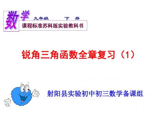 锐角三角函数复习课(1)