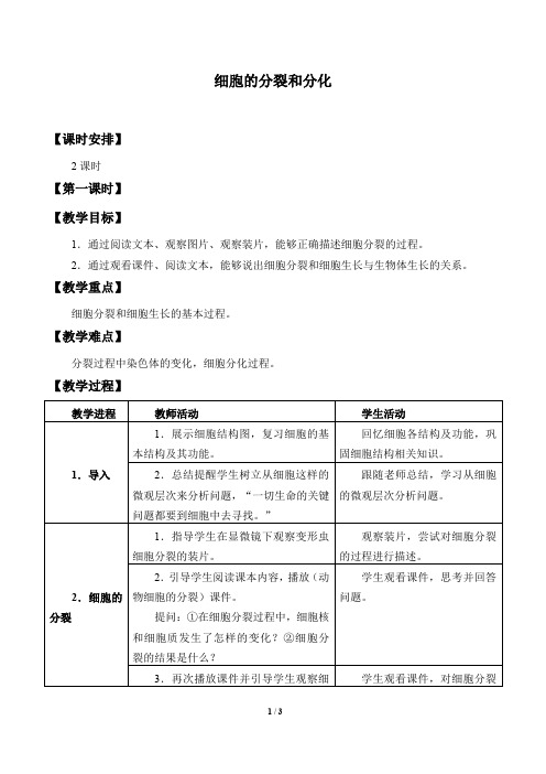 苏科版生物七年级下册：8.2 细胞的分裂和分化  教案
