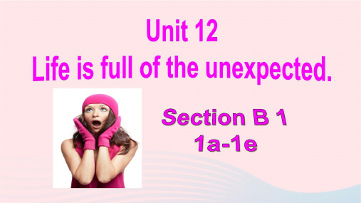 初中英语九年级全册 Unit 12 Section B (1a-1e)教学课件人教新目标版