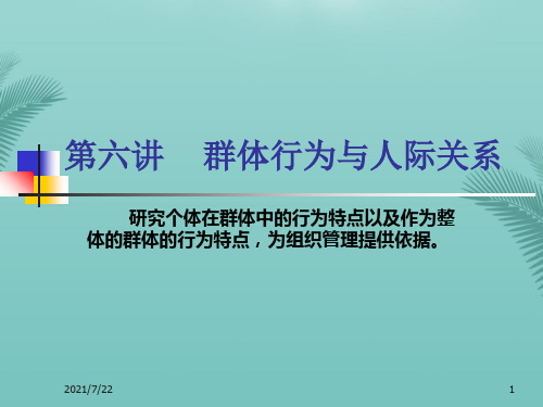 【精选】组织行为学  第六讲  群体PPT