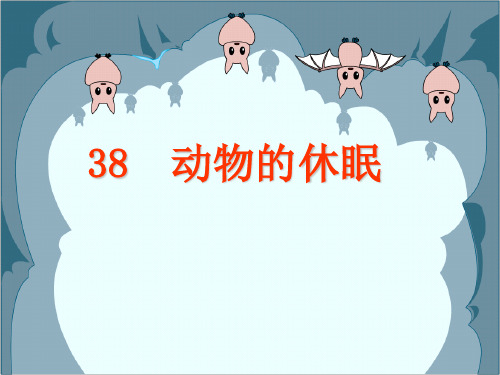 沪教版三年级上38《动物的休眠》