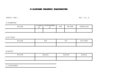 中小企业科技创新科技成果转化资金财务指标申报表