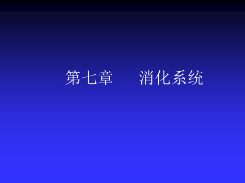 人体解剖生理学第七章消化系统.ppt