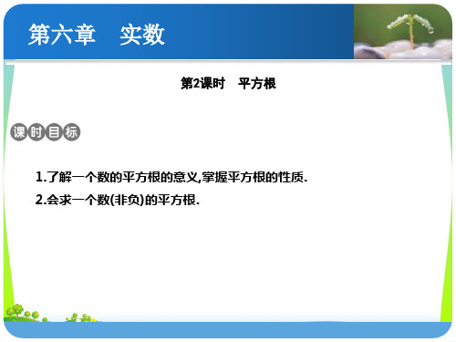 【新】人教版七年级数学下册第六章《平方根》优质公开课课件 (3).ppt