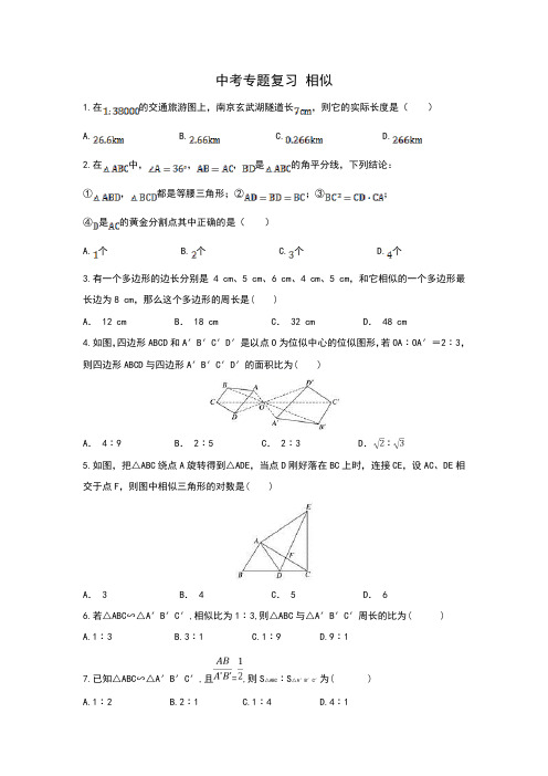 2020年中考数学 相似专题(含答案)