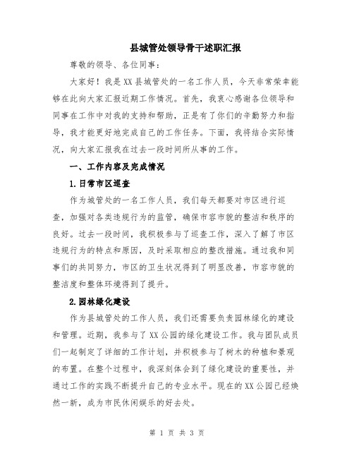 县城管处领导骨干述职汇报