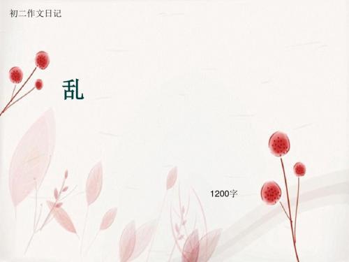 初二作文日记《乱》1200字(总17页PPT)