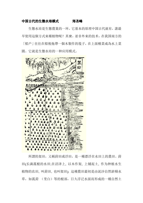 中国古代的生态水培模式