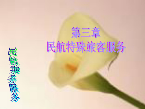 民航乘务服务课件——民航特殊旅客服务