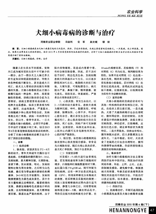 犬细小病毒病的诊断与治疗
