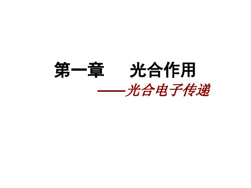 光合电子传递