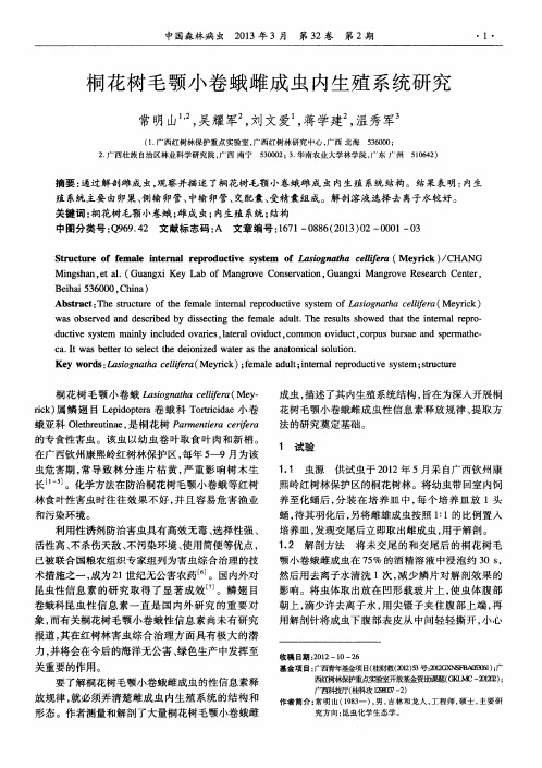 桐花树毛颚小卷蛾雌成虫内生殖系统研究