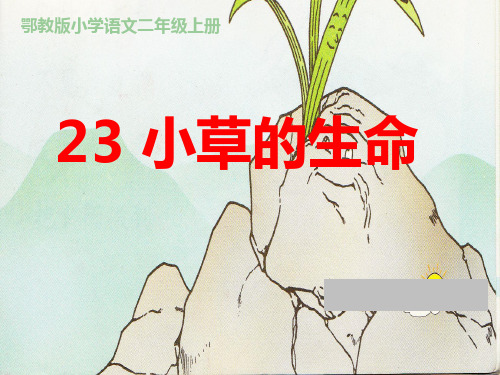 定稿小草的生命PPT课件