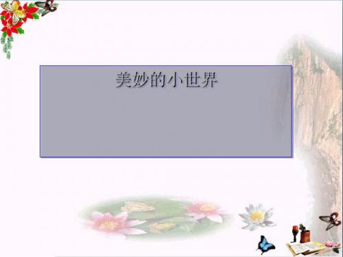 一年级美术上册第1课美妙的小世界PPT课件1岭南版
