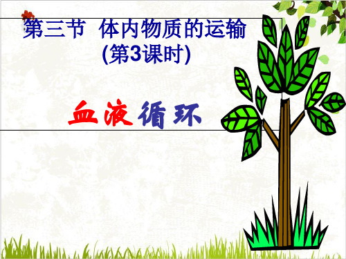九年级上科学_体内物质的运输_ppt优质课件浙教版5