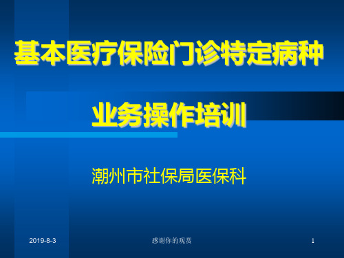 基本医疗保险门诊特定病种业务操作培训模板.pptx