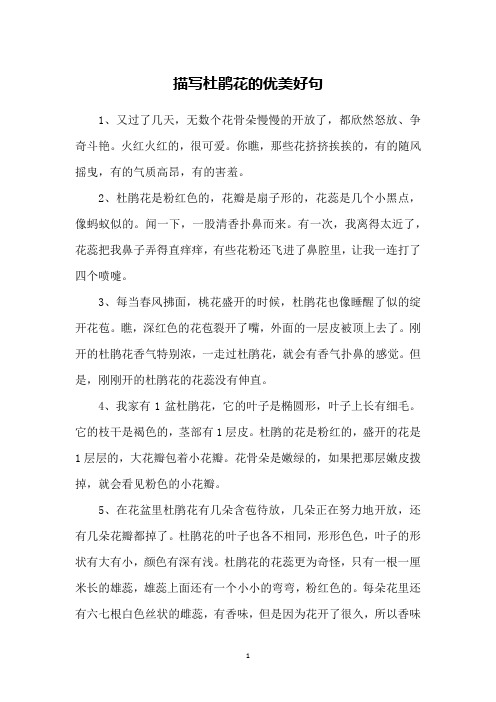 描写杜鹃花的优美好句