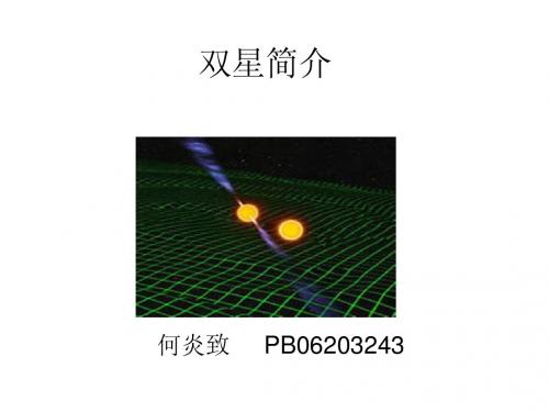 双星简介