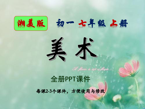 湘美版,美术,初一,七年级,上册,全册PPT课件,湖南美术出版社