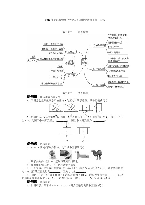(精选版)2019年新课标物理中考复习专题教学案第十章   压强(含答案)