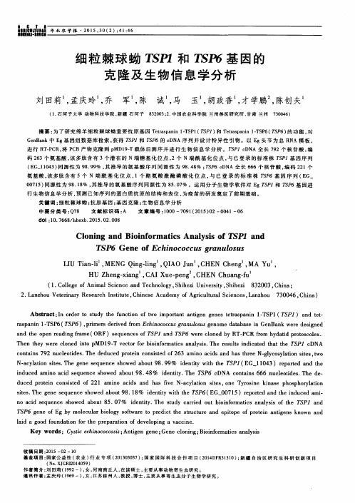 细粒棘球蚴TSP1和TSP6基因的克隆及生物信息学分析