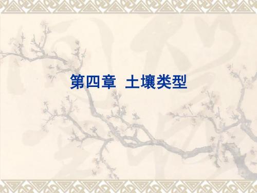 chapt-04-2土壤类型