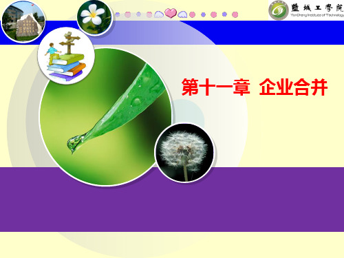 高级财务会计(第二版)课件第十一章  企业合并会计