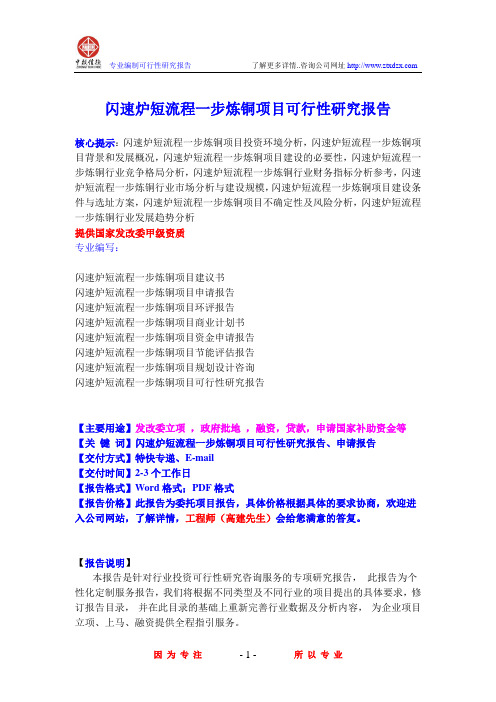 闪速炉短流程一步炼铜项目可行性研究报告