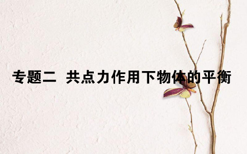 2019届高考物理一轮复习 第二章 相互作用 专题二课件.ppt