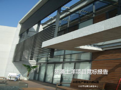 中原地产深圳葵涌土洋的项目前期定位提案的报告142页