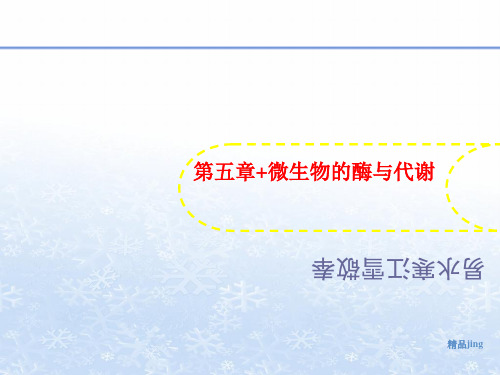 第五章讲义+微生物的酶与代谢