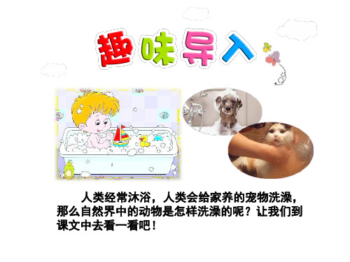 三年级上册语文课件-快乐读书屋 二 动物是怎样“洗澡”的【第1课时】｜教科版 (共张PPT)