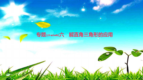 九年级数学上册 第24章 解直角三角形 专题六 解直角三角形的应用课件华东师大级上册数学课件