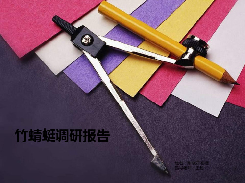 竹蜻蜓调研报告