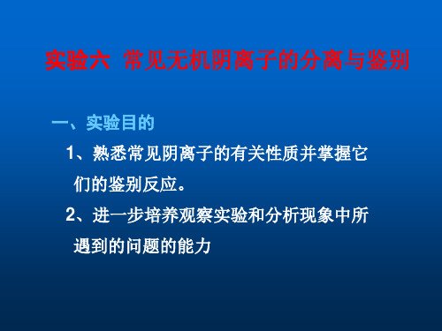 常见阴离子的分析与鉴定