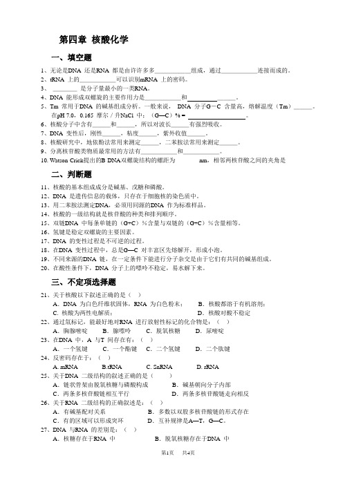 高中生物 核酸化学